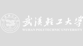 武汉轻工